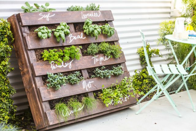 DIY Outdoor Wood Pallet Herb Garden – Makeful